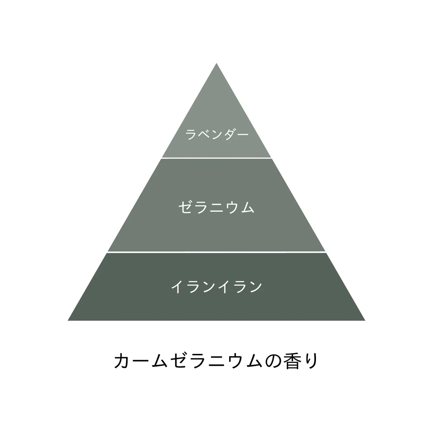 ピュア&ロートリートメント ボトル&詰替セット - LHOOQ