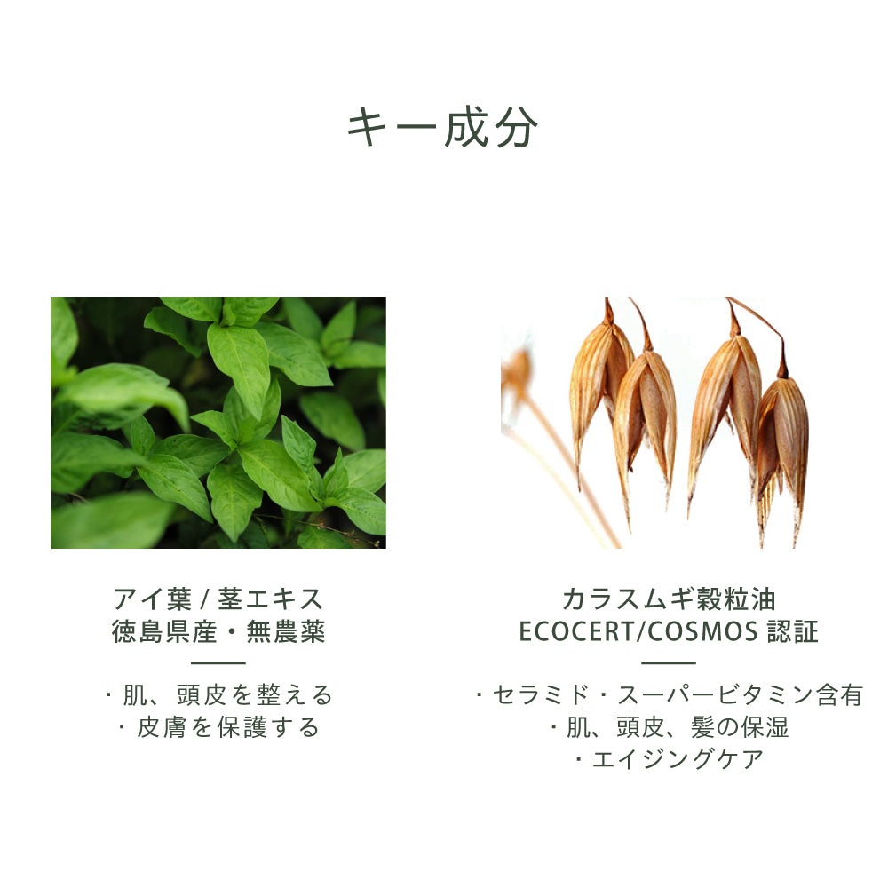 【リニューアル】ユニヴァーサルオイル 100mL - LHOOQ