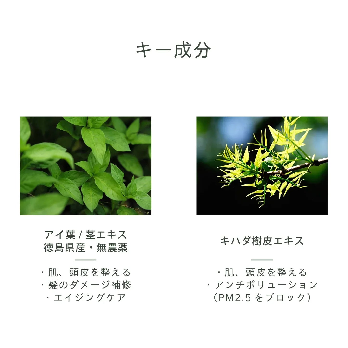 ピュア&ロートリートメント ボトル&詰替セット - LHOOQ