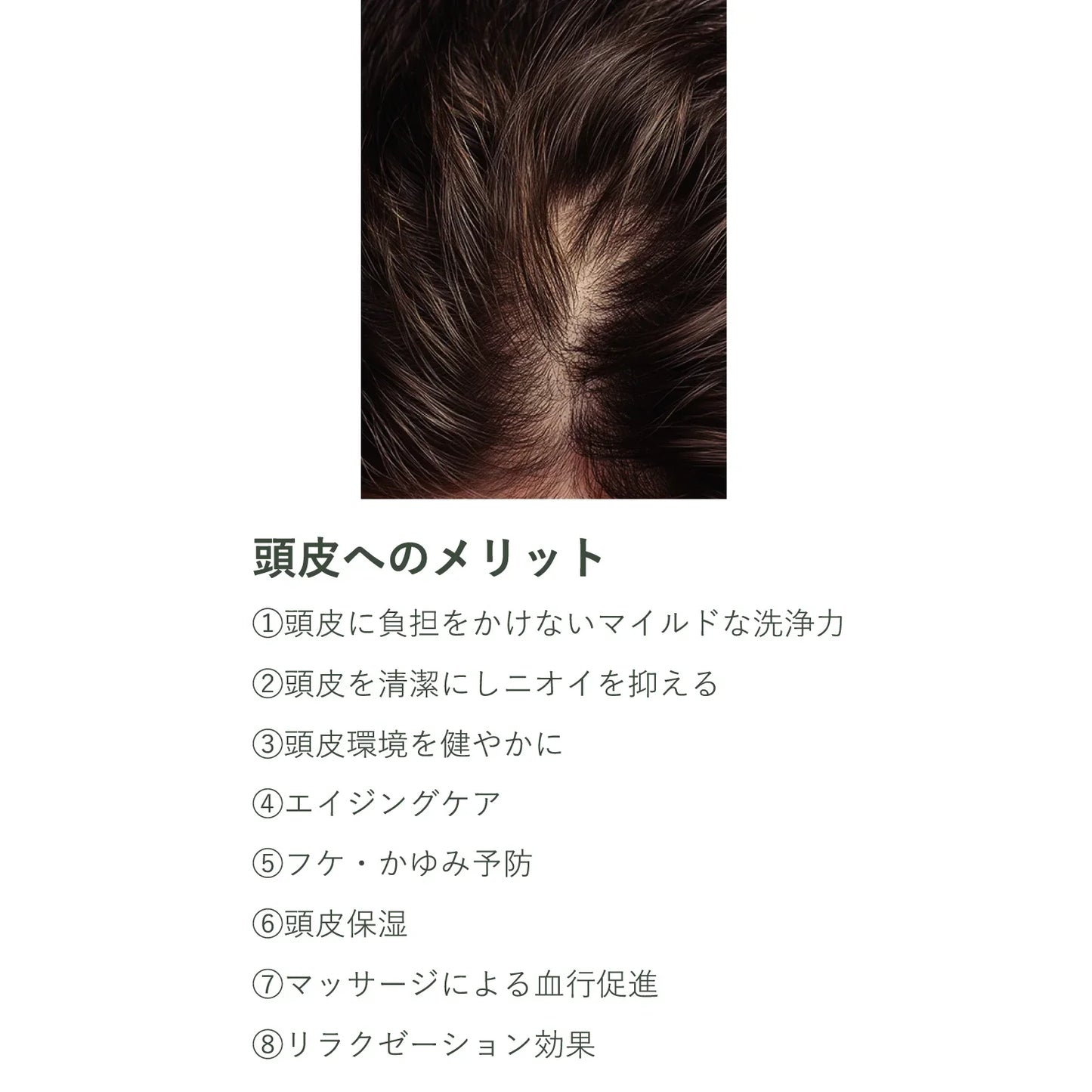 ピュア&ロートリートメント ボトル&詰替セット - LHOOQ