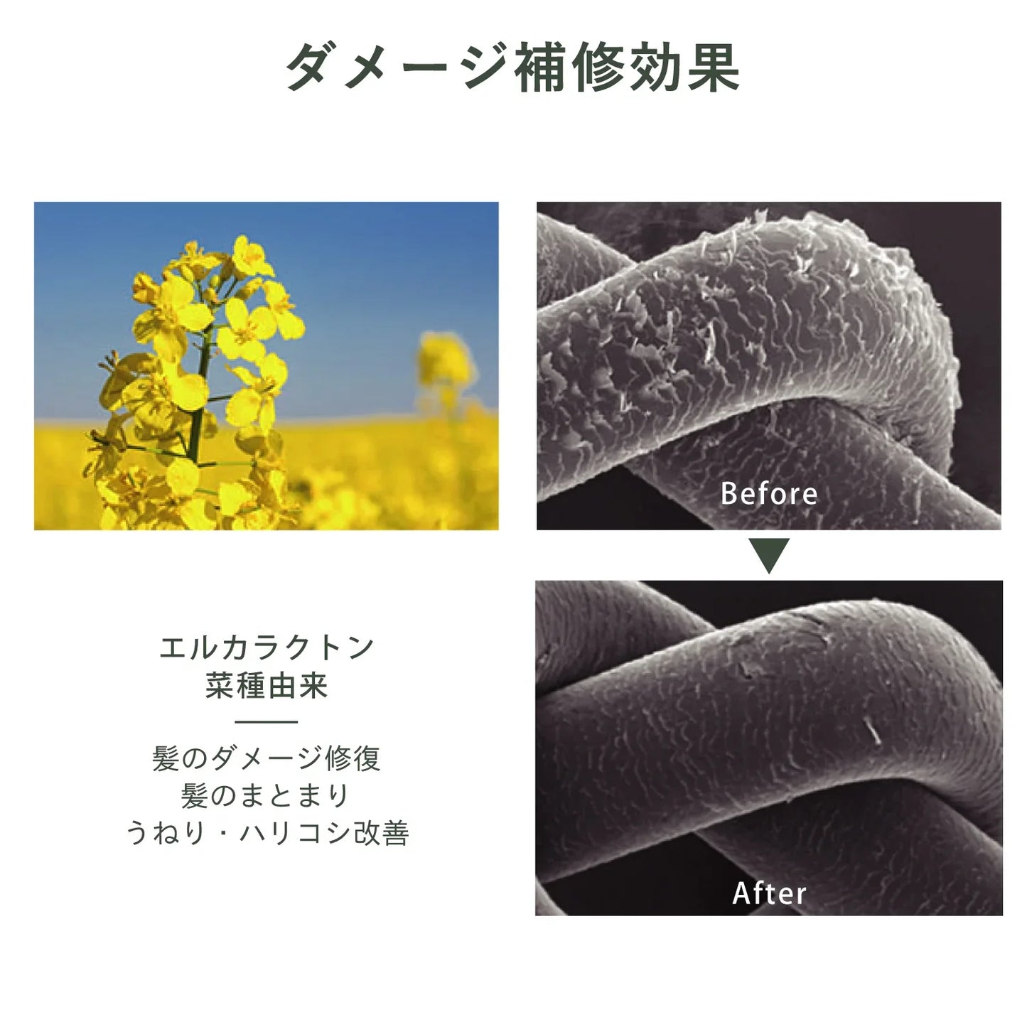 ピュア&ロートリートメント ボトル&詰替セット - LHOOQ