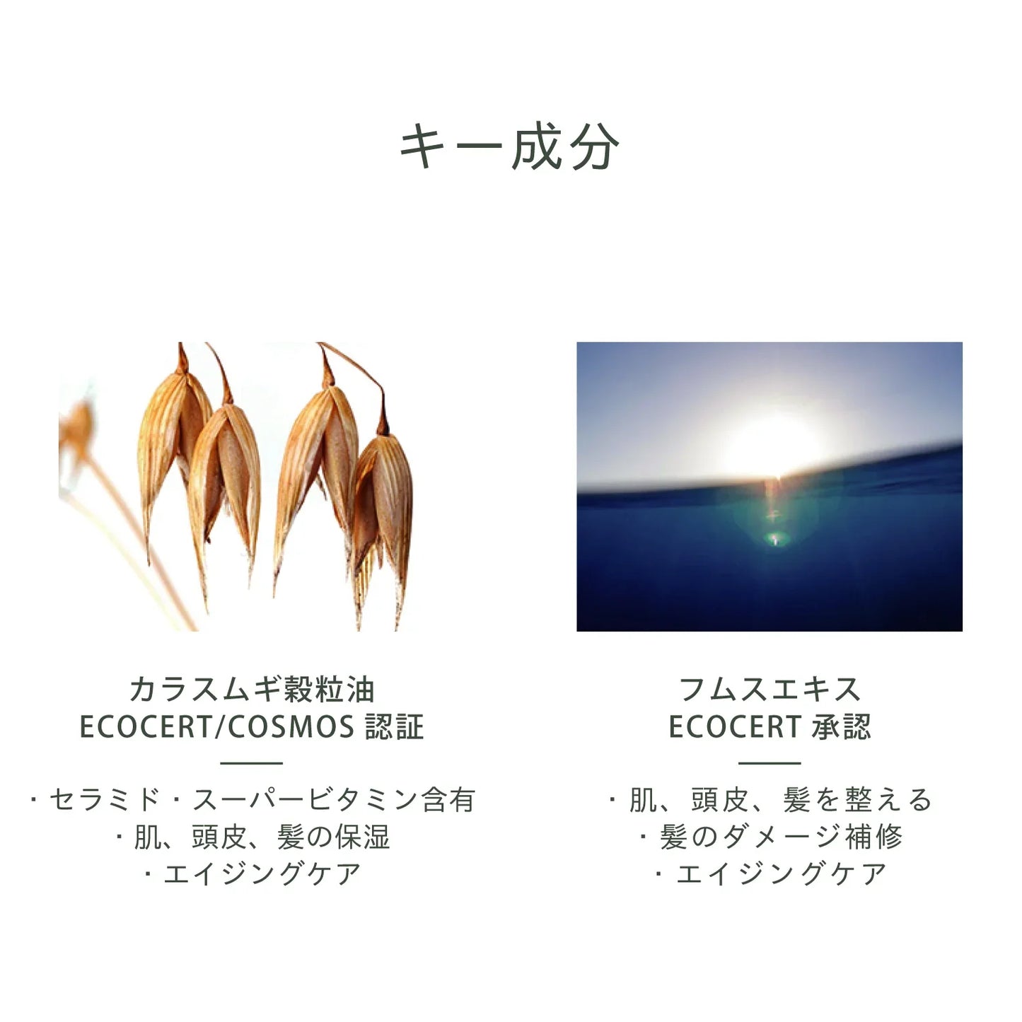 ピュア&ロートリートメント ボトル&詰替セット - LHOOQ