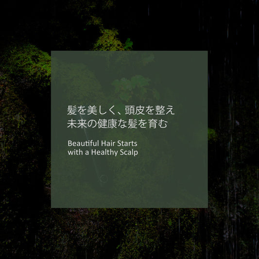 髪を美しく、 頭皮を整え未来の健康な髪を育む