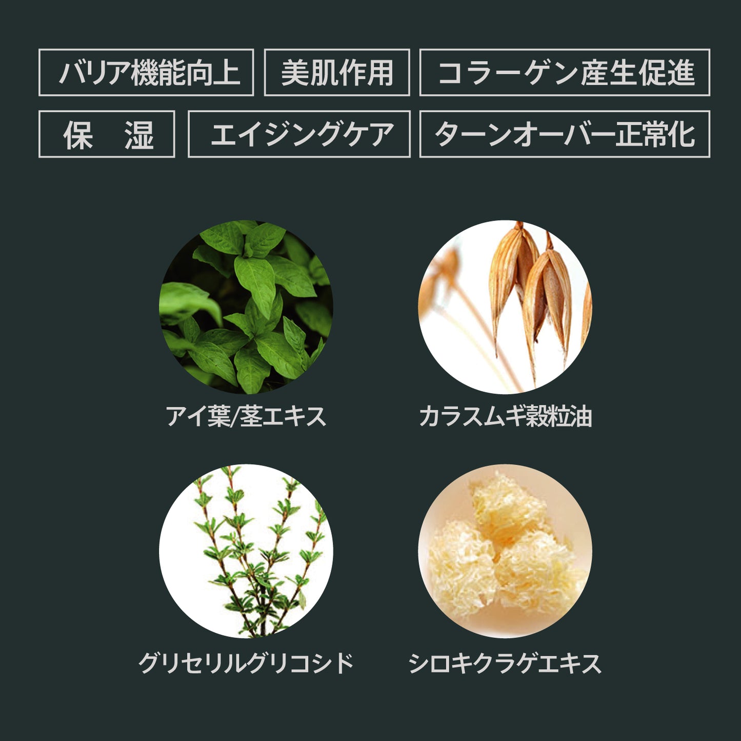 น้ำมันอเนกประสงค์ 100มล.